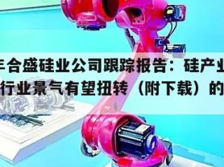 2025年合盛硅业公司跟踪报告：硅产业链龙头，行业景气有望扭转（附下载）的简单介绍