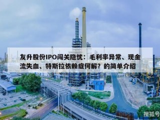 友升股份IPO闯关隐忧：毛利率异常、现金流失血、特斯拉依赖症何解？的简单介绍